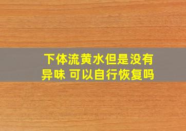 下体流黄水但是没有异味 可以自行恢复吗